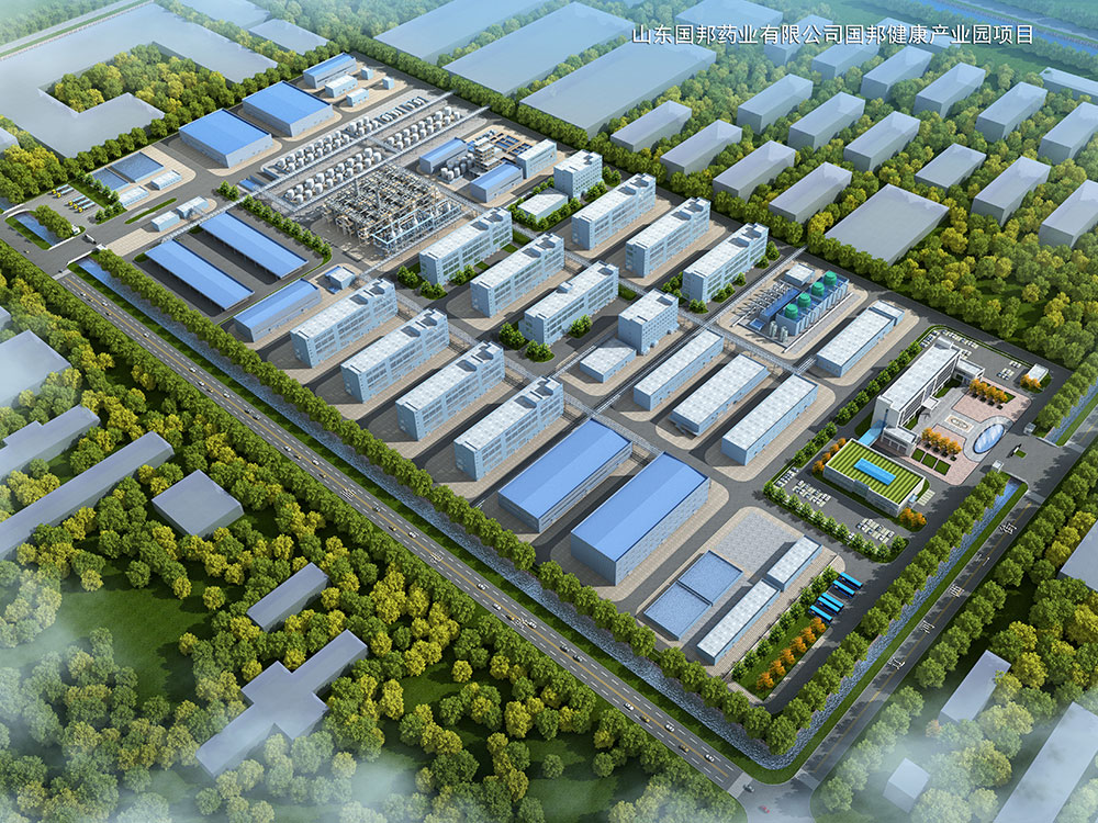 山东国邦药业股份有限公司